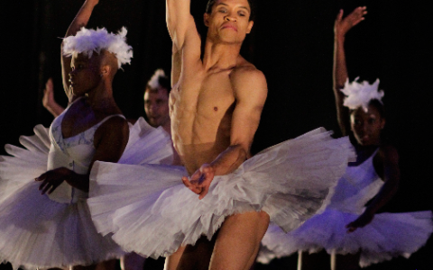 swan lake